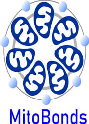Mitobonds logo